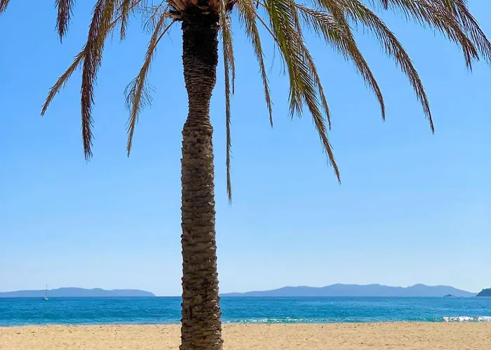 Select'sohome - Renove En Centre-ville Pour 6 Personnes !- Marina-5 Le Lavandou